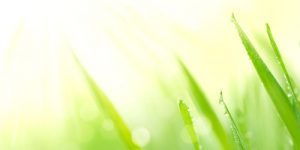 switch to solar hot water
